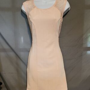 Main Strip Pink Cap Sleeve Sheath Dress